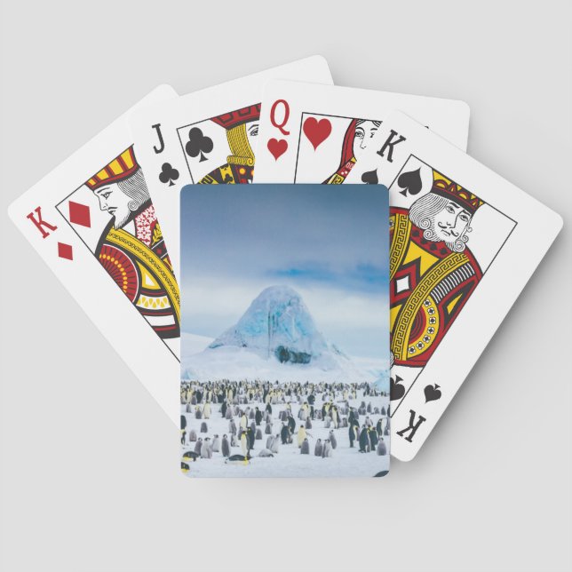Emperor Penguin Colony Playing Cards (Back)