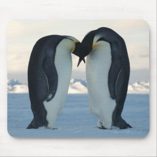 Emperor Penguin Courtship Mouse Mat