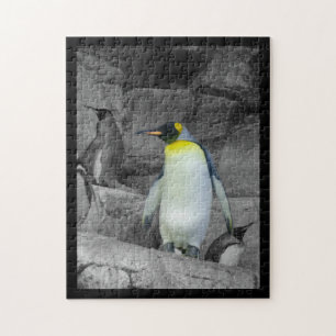 Emperor Penguin Jigsaw Puzzle