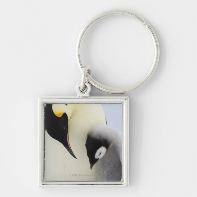 Emperor Penguin looking at chick Key Ring (Front)
