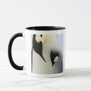 Emperor Penguin looking at chick Mug