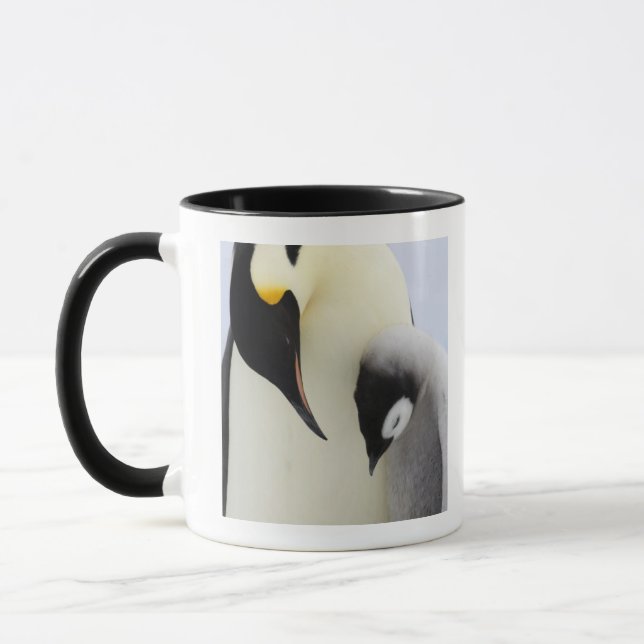 Emperor Penguin looking at chick Mug (Left)