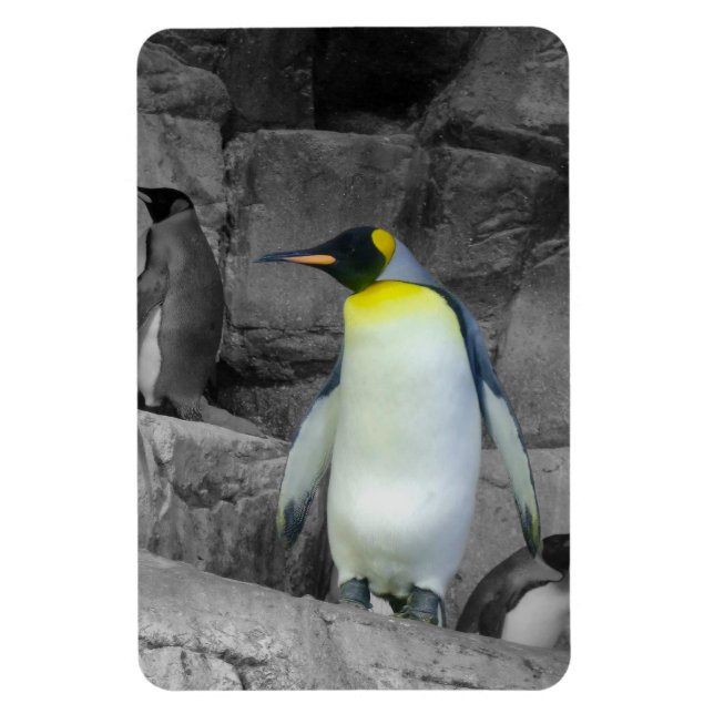 Emperor Penguin Magnet (Vertical)