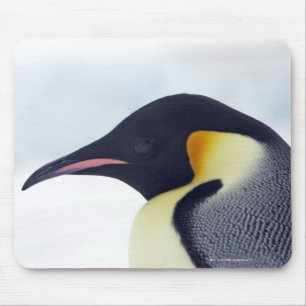 Emperor Penguin, Snow Hill Island Mouse Mat