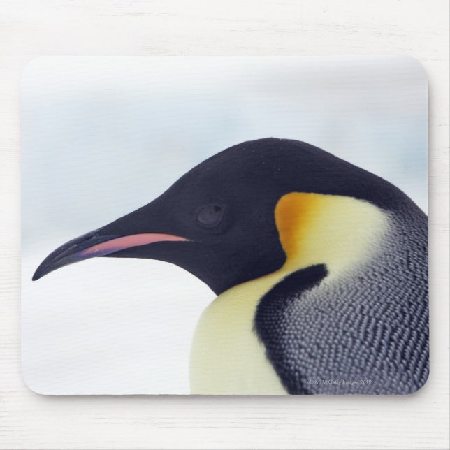 Emperor Penguin, Snow Hill Island Mouse Mat (Front)