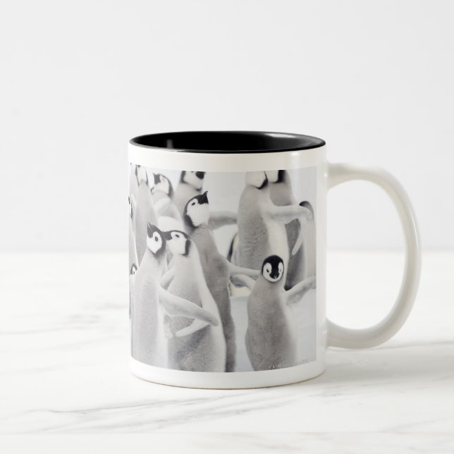 Emperor penguin Two-Tone coffee mug (Right)