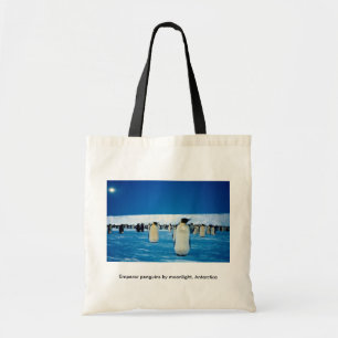 Emperor penguins by moonlight, Antarctica Tote Bag