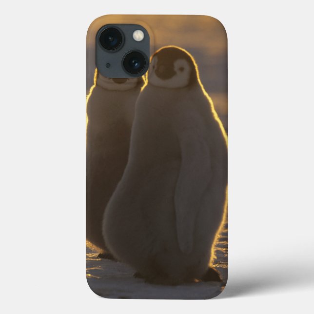 Emperor Penguins Case-Mate iPhone Case (Back)