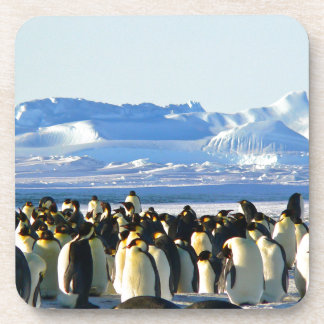 Emperor penguins coaster