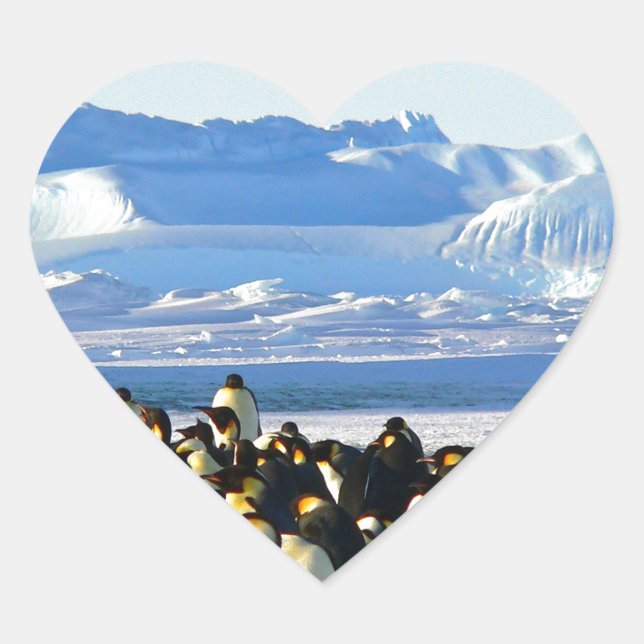 Emperor penguins heart sticker (Front)