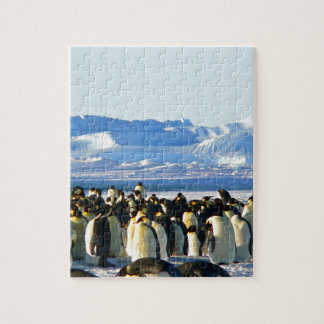 Emperor penguins jigsaw puzzle