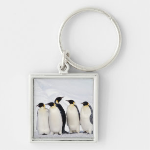 Emperor Penguins Key Ring