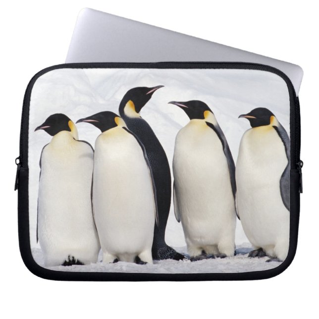 Emperor Penguins Laptop Sleeve (Front)