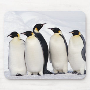 Emperor Penguins Mouse Mat