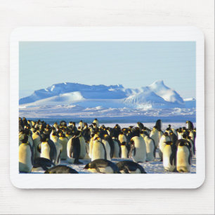 Emperor penguins mouse mat