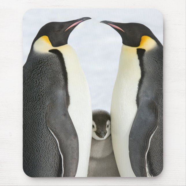 Emperor Penguins Mouse Pad (Front)