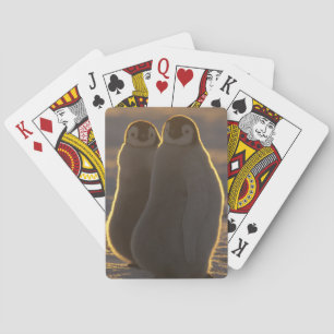 Emperor Penguins Playing Cards