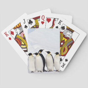 Emperor Penguins Playing Cards