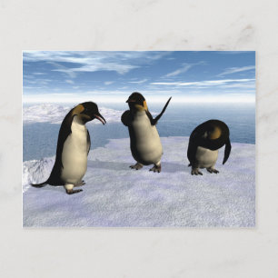 Emperor Penguins Postcard