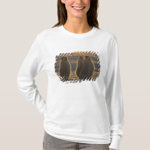 Emperor Penguins T-Shirt