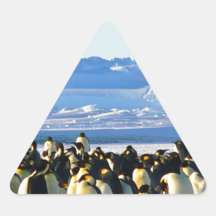 Emperor penguins triangle sticker
