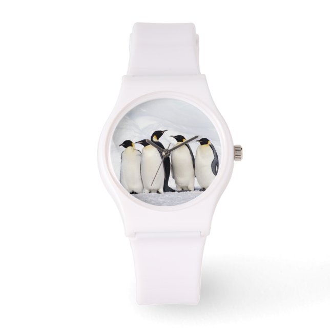 Emperor Penguins Watch (Front)