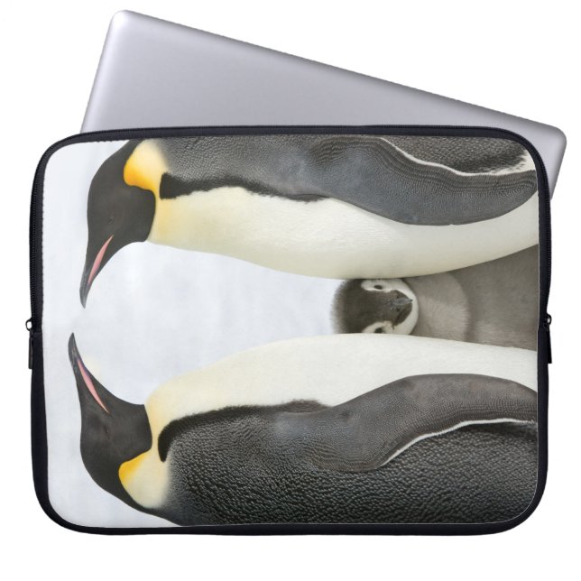 Emperor Penguins with Chick - laptop case (Front)
