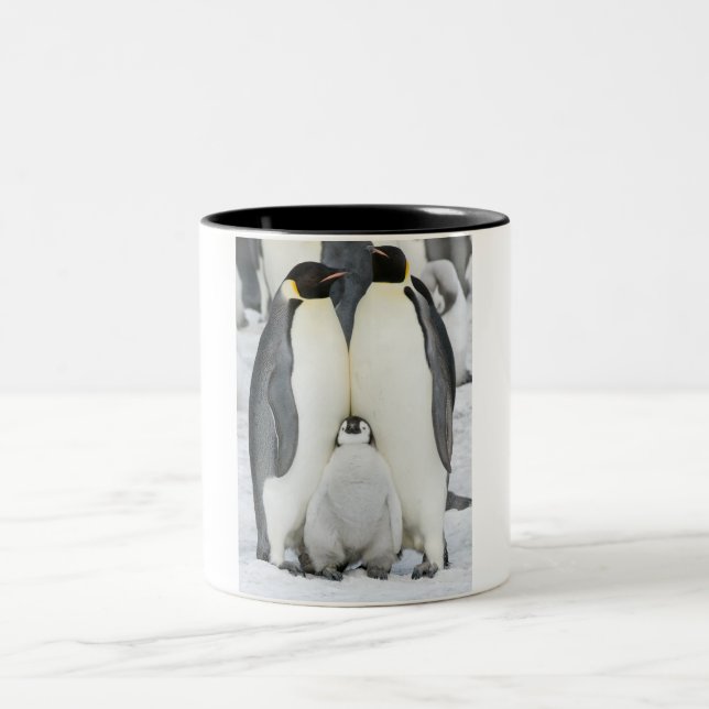 Emperor Penguins with Chick - mug (Center)