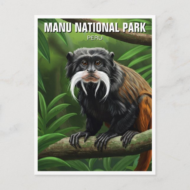 Emperor Tamarin in Manu National Park Peru Postcard (Front)