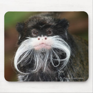 Emperor Tamarin Mouse Mat