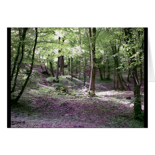 Emphasis of Peace (Front Horizontal)