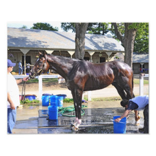 Empire Stakes Winner "Saratoga Snacks" Photo Print