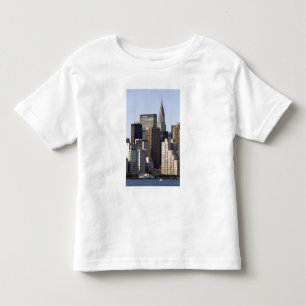 Empire State Building and New York City, New Toddler T-Shirt