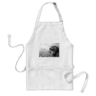 Empire State Building New York Pro Photo Standard Apron