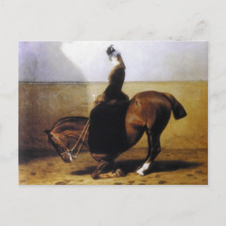 Empress Elisabeth riding horse sidesaddle #027SS Postcard