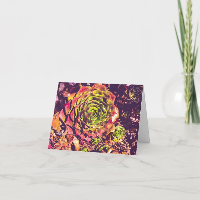 empty greeting/thank you card (Front)