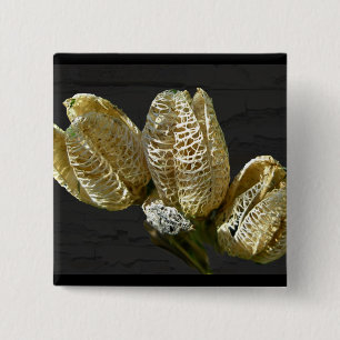 Empty Lily Seed Pods Coordinating Items 15 Cm Square Badge