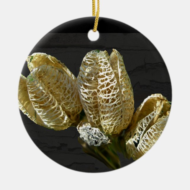 Empty Lily Seed Pods Coordinating Items Ceramic Tree Decoration (Front)