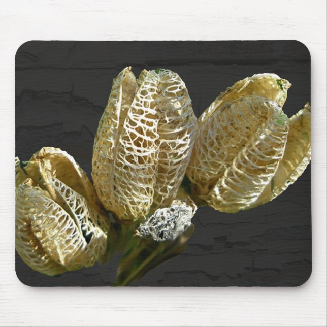 Empty Lily Seed Pods Coordinating Items Mouse Mat (Front)