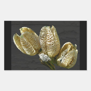 Empty Lily Seed Pods Coordinating Items Rectangular Sticker