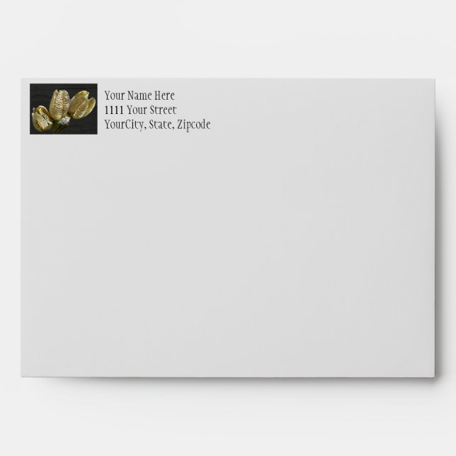 Empty Lily Seed Pods Envelope (Front)