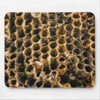 Empty Nest Mouse Mat