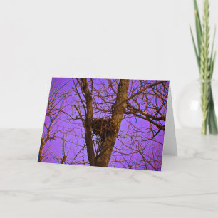 Empty Nest Note Card