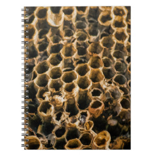 Empty Nest Notebook