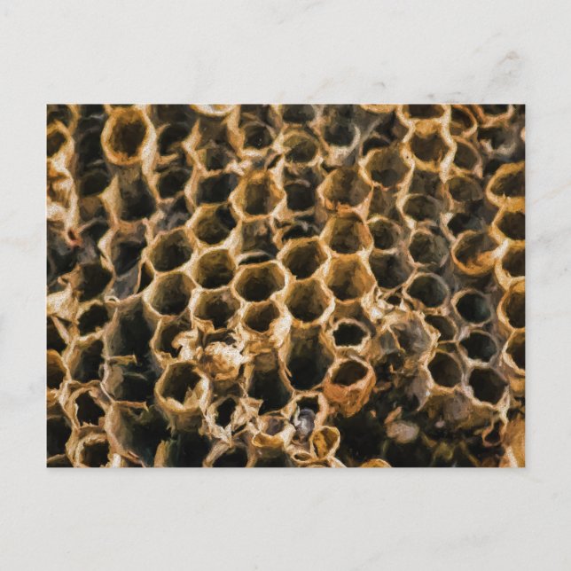 Empty Nest Postcard (Front)