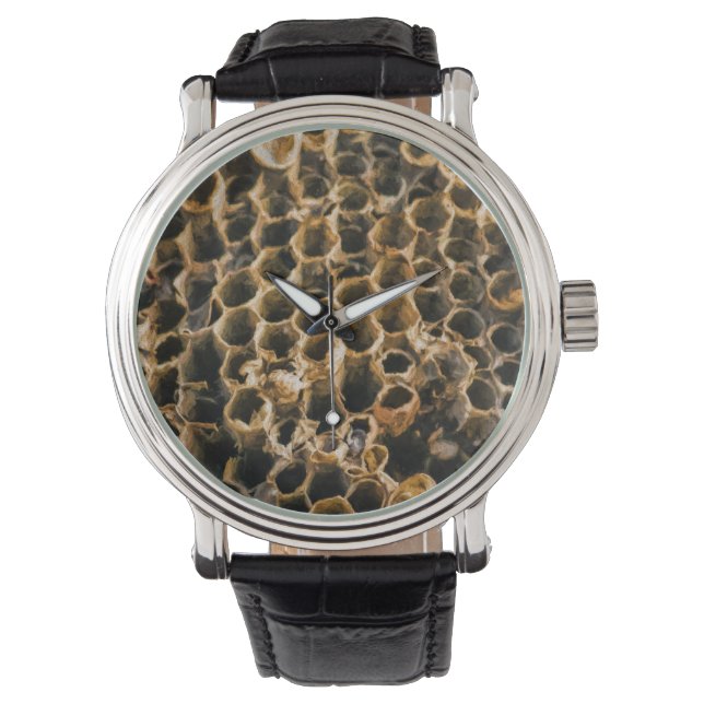 Empty Nest Watch (Front)