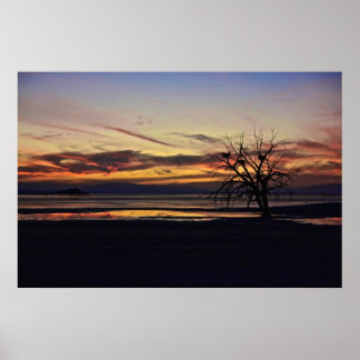 Empty Nests in a Dead Tree Poster