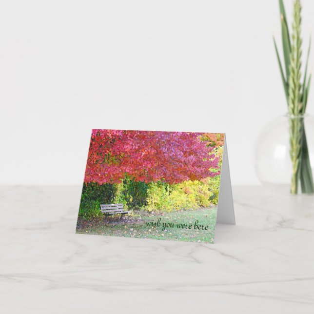 EMPTY PARK BENCH, "WISH YOU WERE HERE" (PHOTOG.) CARD (Front)