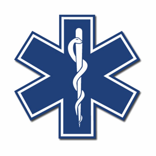 EMS Star of Life Standing Photo Sculpture (Front)