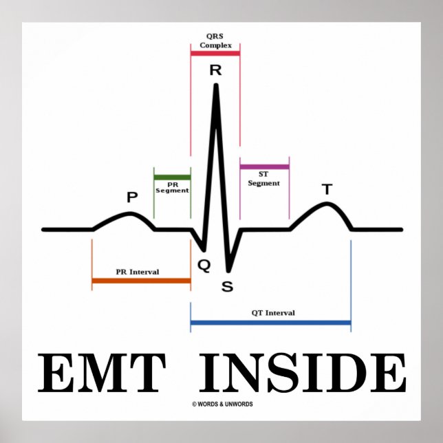 EMT Inside (Sinus Rhythm Electrocardiogram) Poster (Front)